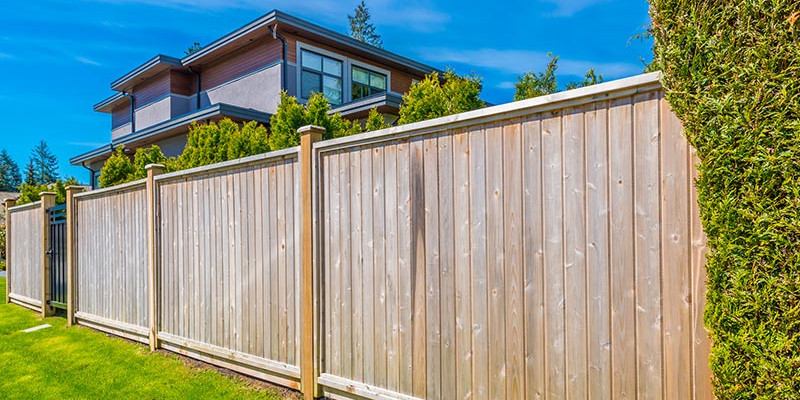 Do You Need a New Fence?
