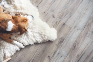 How Durable is Laminate Flooring? A Homeowner’s Guide